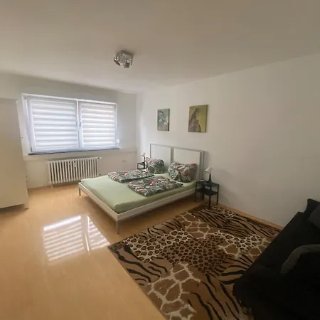 Appartement Near Cetral Station Mayence